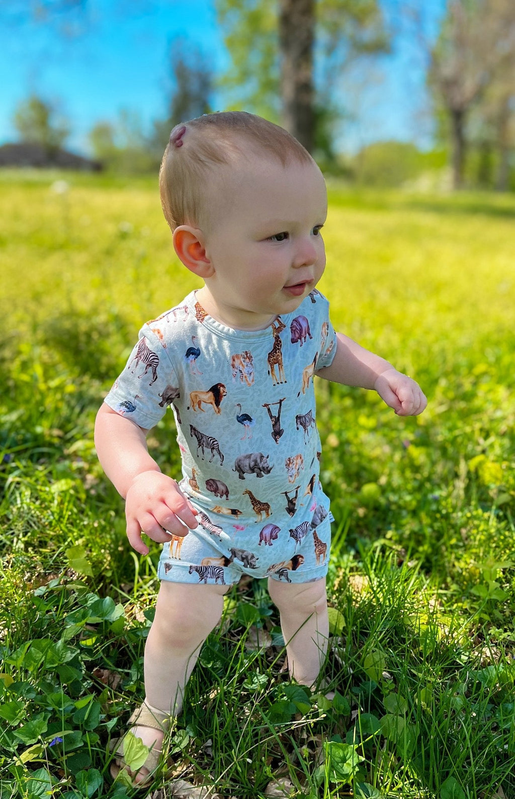 Short Sleeve Shortie Romper