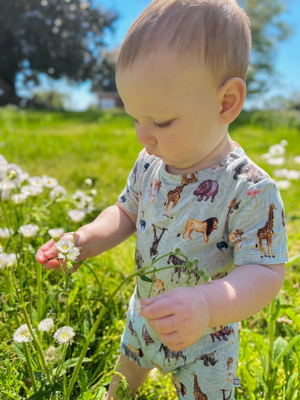 Short Sleeve Shortie Romper
